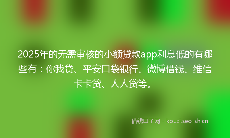 2025年的无需审核的小额贷款app利息低的有哪些有：你我贷、平安口袋银行、微博借钱、维信卡卡贷、人人贷等。