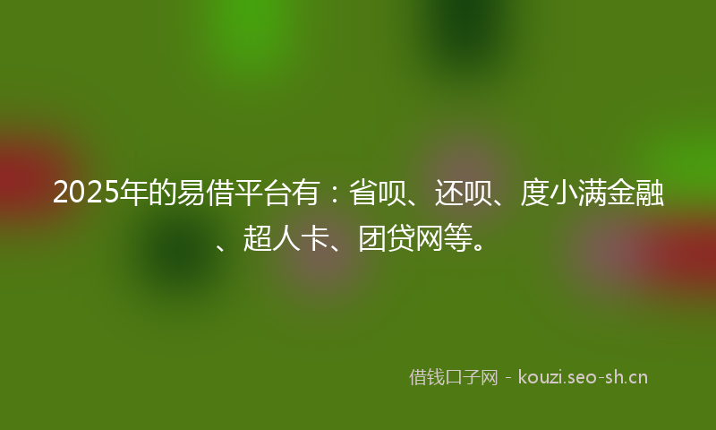 2025年的易借平台有：省呗、还呗、度小满金融、超人卡、团贷网等。