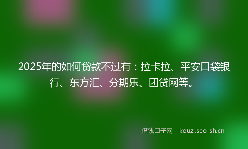 2025年的如何贷款不过有：拉卡拉、平安口袋银行、东方汇、分期乐、团贷网等。
