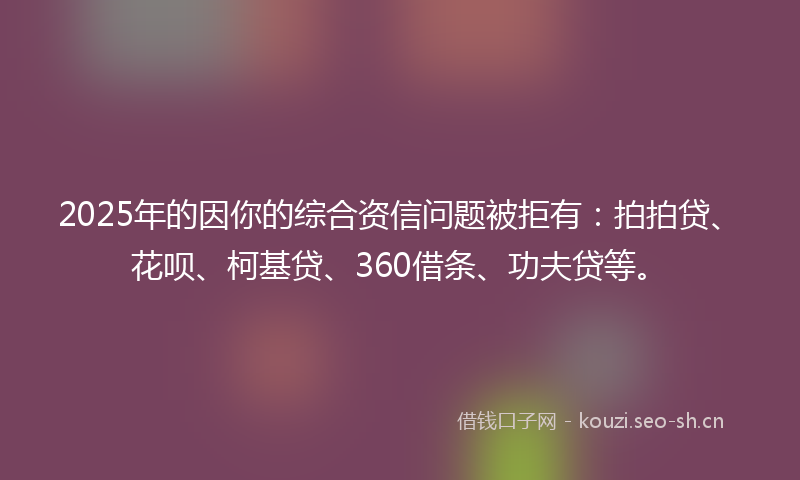 2025年的因你的综合资信问题被拒有：拍拍贷、花呗、柯基贷、360借条、功夫贷等。