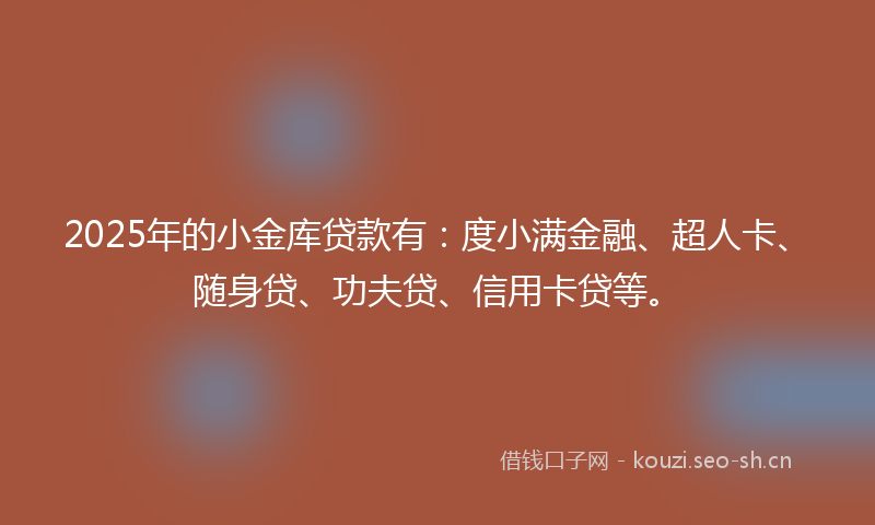 2025年的小金库贷款有：度小满金融、超人卡、随身贷、功夫贷、信用卡贷等。