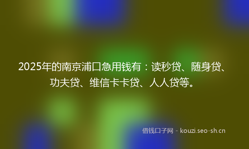 2025年的南京浦口急用钱有：读秒贷、随身贷、功夫贷、维信卡卡贷、人人贷等。