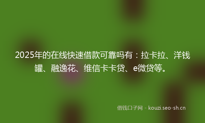 2025年的在线快速借款可靠吗有：拉卡拉、洋钱罐、融逸花、维信卡卡贷、e微贷等。