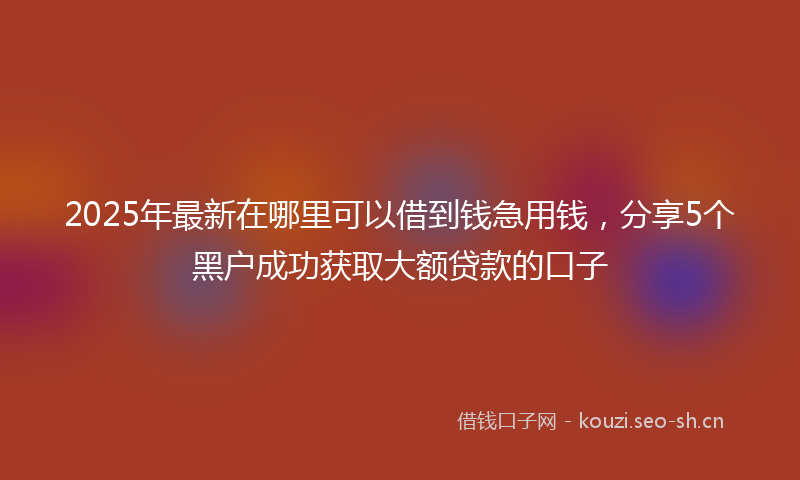 2025年最新在哪里可以借到钱急用钱，分享5个黑户成功获取大额贷款的口子