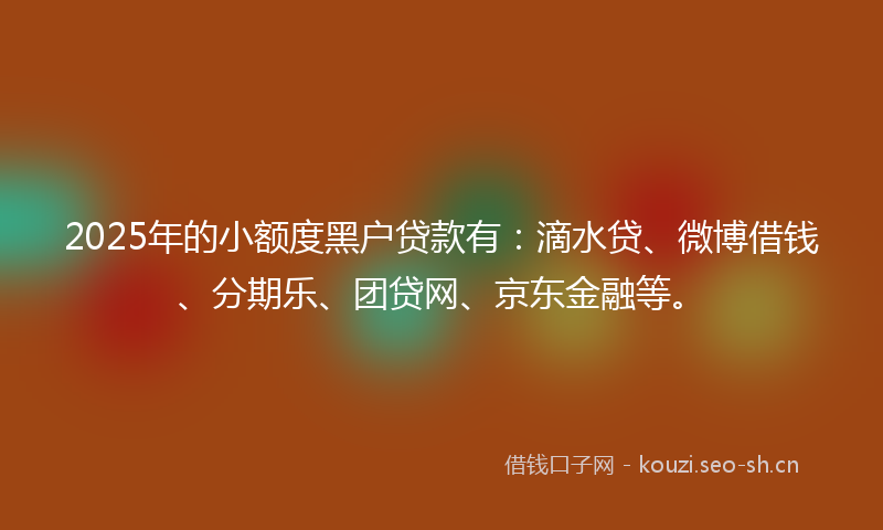 2025年的小额度黑户贷款有：滴水贷、微博借钱、分期乐、团贷网、京东金融等。