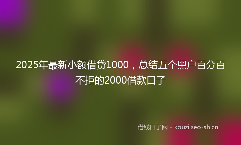 2025年最新小额借贷1000,总结五个黑户百分百不拒的2000借款口子