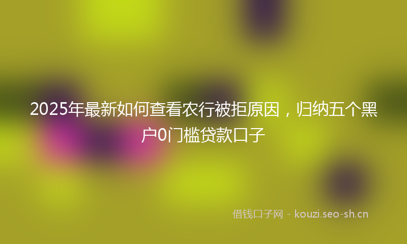 2025年最新如何查看农行被拒原因，归纳五个黑户0门槛贷款口子