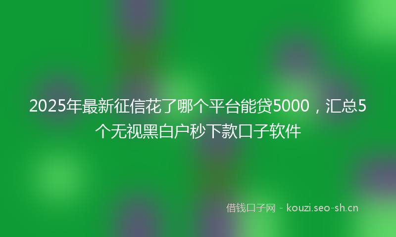 2025年最新征信花了哪个平台能贷5000，汇总5个无视黑白户秒下款口子软件