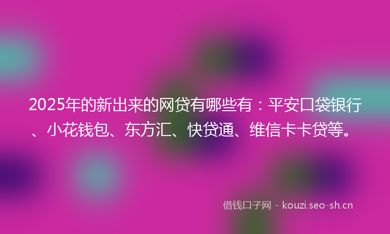 2025年的新出来的网贷有哪些有：平安口袋银行、小花钱包、东方汇、快贷通、维信卡卡贷等。