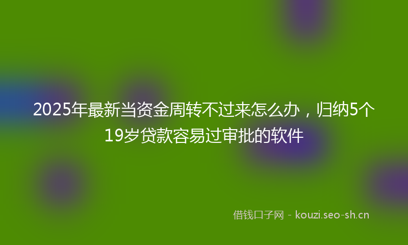 2025年最新当资金周转不过来怎么办，归纳5个19岁贷款容易过审批的软件