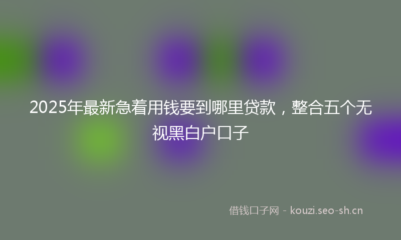 2025年最新急着用钱要到哪里贷款，整合五个无视黑白户口子