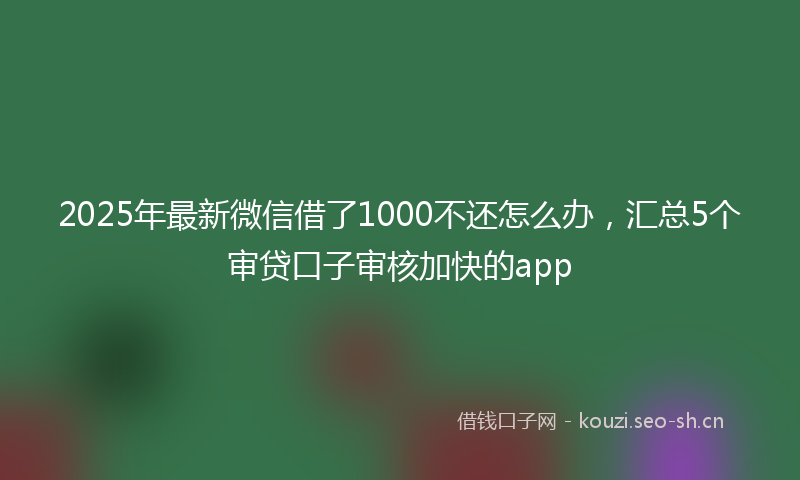 2025年最新微信借了1000不还怎么办，汇总5个审贷口子审核加快的app