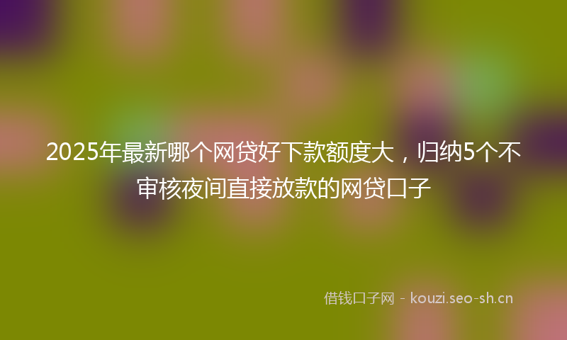 2025年最新哪个网贷好下款额度大，归纳5个不审核夜间直接放款的网贷口子