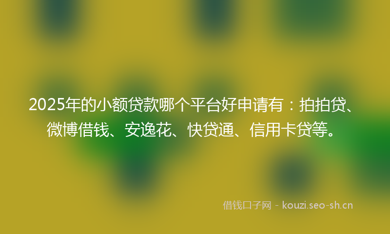 2025年的小额贷款哪个平台好申请有：拍拍贷、微博借钱、安逸花、快贷通、信用卡贷等。