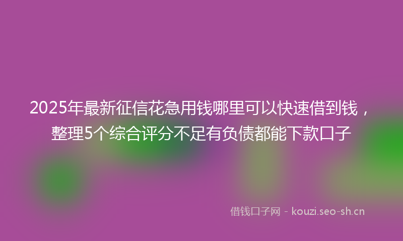 2025年最新征信花急用钱哪里可以快速借到钱，整理5个综合评分不足有负债都能下款口子