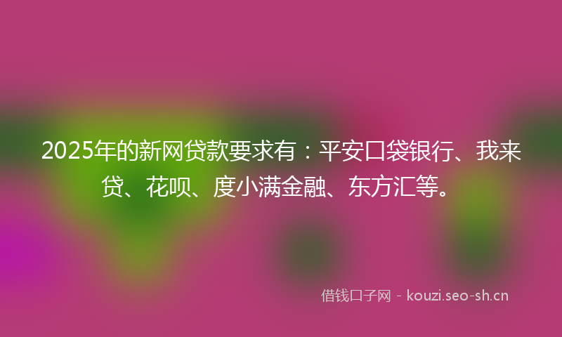 2025年的新网贷款要求有：平安口袋银行、我来贷、花呗、度小满金融、东方汇等。