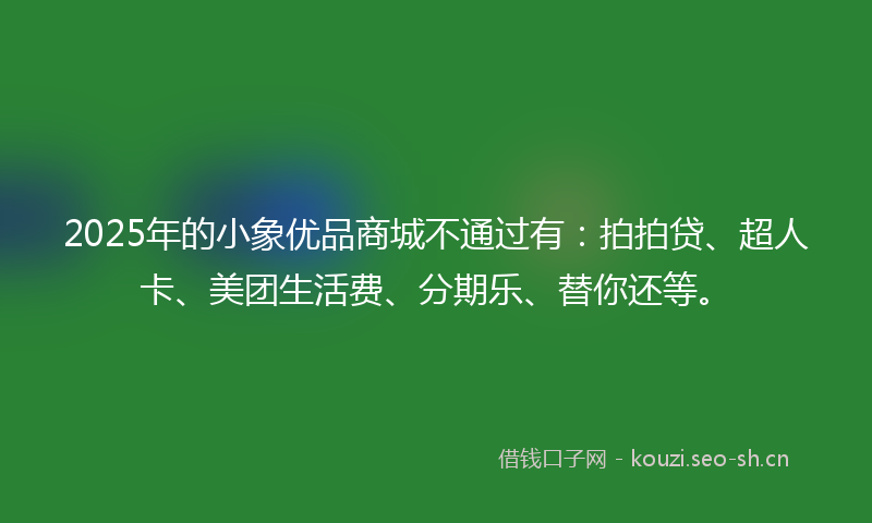 2025年的小象优品商城不通过有：拍拍贷、超人卡、美团生活费、分期乐、替你还等。