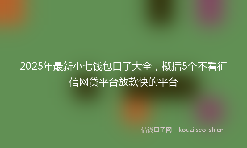 2025年最新小七钱包口子大全，概括5个不看征信网贷平台放款快的平台
