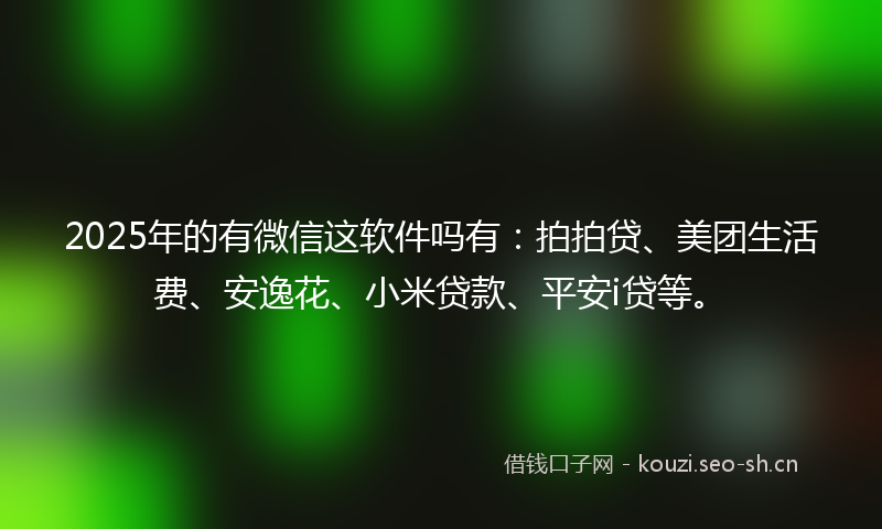 2025年的有微信这软件吗有：拍拍贷、美团生活费、安逸花、小米贷款、平安i贷等。
