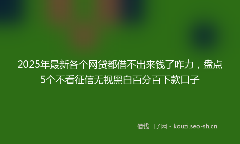 2025年最新各个网贷都借不出来钱了咋力，盘点5个不看征信无视黑白百分百下款口子