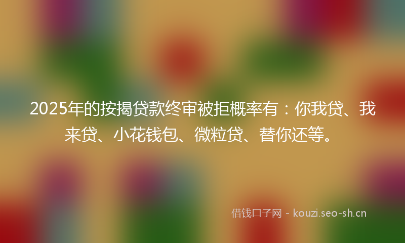 2025年的按揭贷款终审被拒概率有：你我贷、我来贷、小花钱包、微粒贷、替你还等。