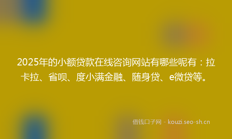 2025年的小额贷款在线咨询网站有哪些呢有：拉卡拉、省呗、度小满金融、随身贷、e微贷等。