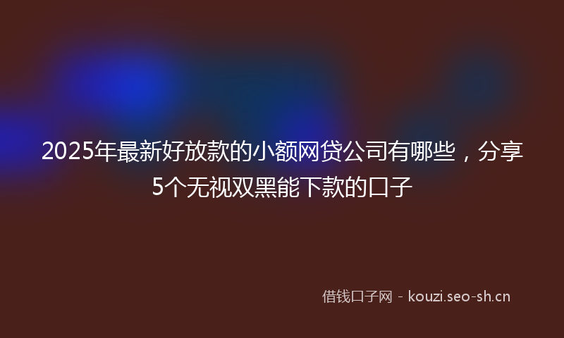 2025年最新好放款的小额网贷公司有哪些，分享5个无视双黑能下款的口子