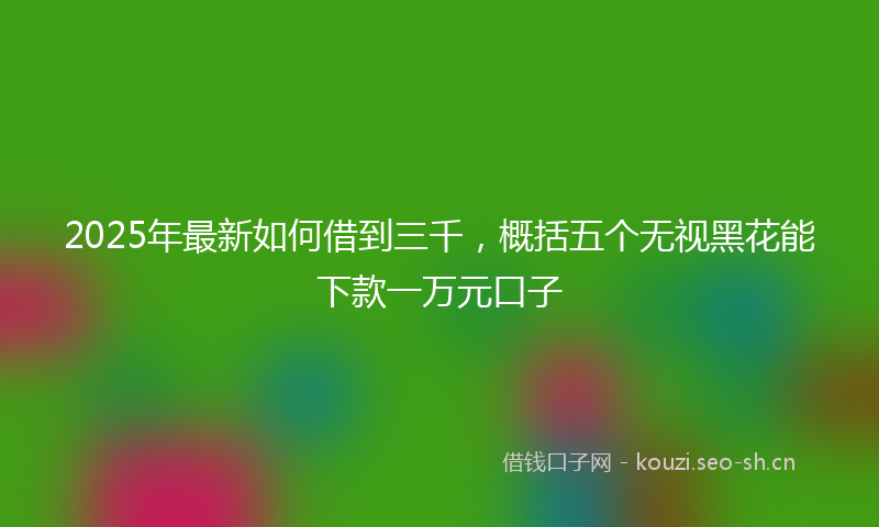 2025年最新如何借到三千，概括五个无视黑花能下款一万元口子