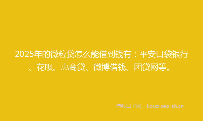 2025年的微粒贷怎么能借到钱有：平安口袋银行、花呗、惠商贷、微博借钱、团贷网等。