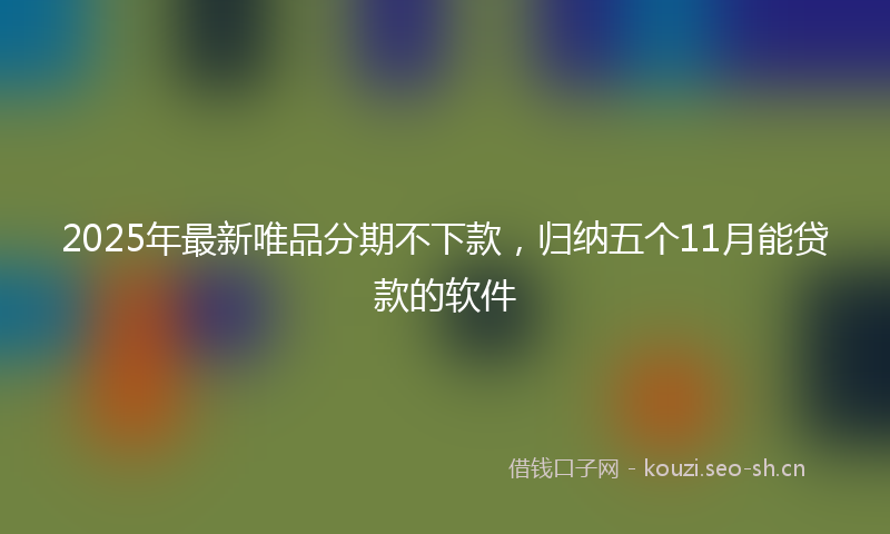 2025年最新唯品分期不下款，归纳五个11月能贷款的软件