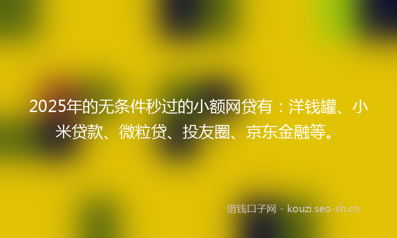 2025年的无条件秒过的小额网贷有：洋钱罐、小米贷款、微粒贷、投友圈、京东金融等。