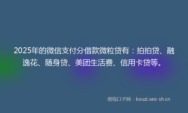 2025年的微信支付分借款微粒贷有：拍拍贷、融逸花、随身贷、美团生活费、信用卡贷等。