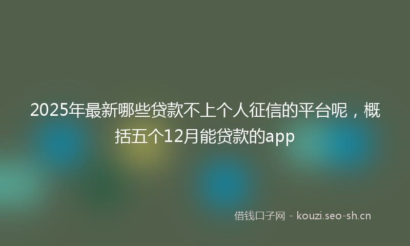 2025年最新哪些贷款不上个人征信的平台呢，概括五个12月能贷款的app