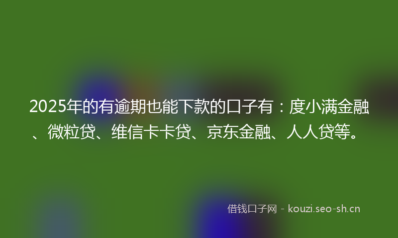 2025年的有逾期也能下款的口子有：度小满金融、微粒贷、维信卡卡贷、京东金融、人人贷等。