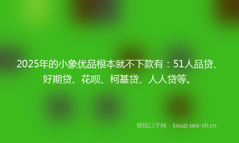 2025年的小象优品根本就不下款有：51人品贷、好期贷、花呗、柯基贷、人人贷等。