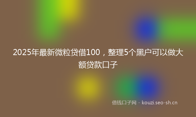 2025年最新微粒贷借100，整理5个黑户可以做大额贷款口子