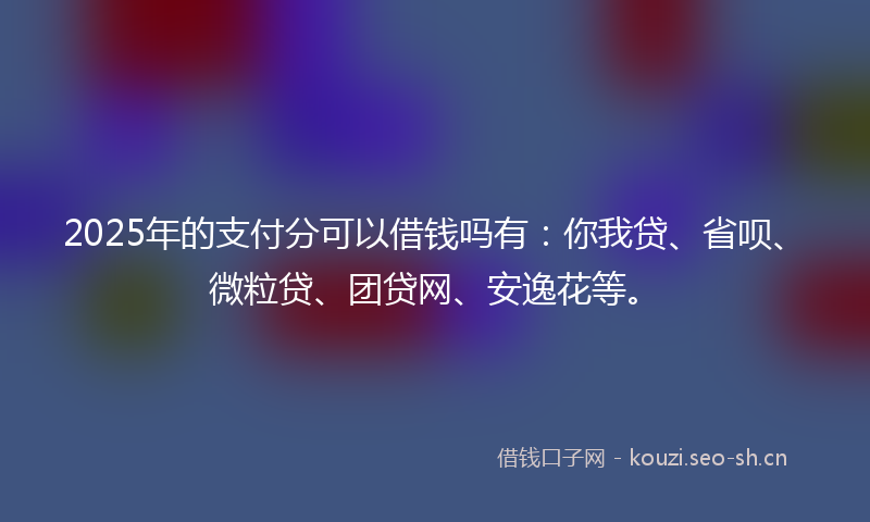 2025年的支付分可以借钱吗有：你我贷、省呗、微粒贷、团贷网、安逸花等。