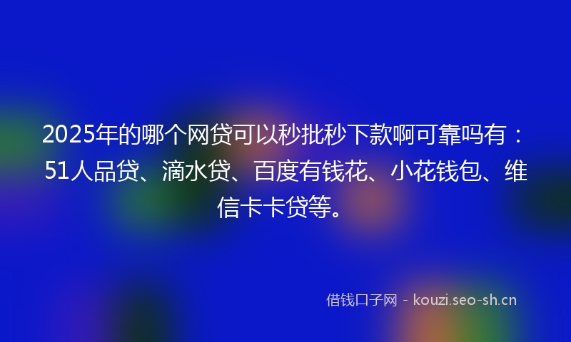2025年的哪个网贷可以秒批秒下款啊可靠吗有：51人品贷、滴水贷、百度有钱花、小花钱包、维信卡卡贷等。