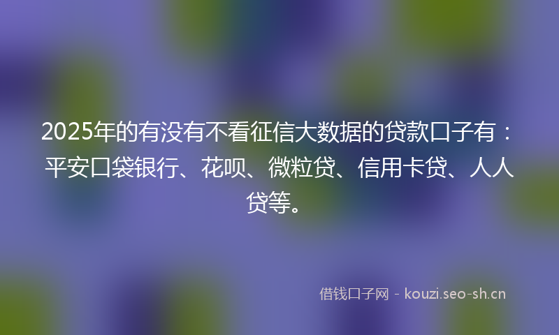 2025年的有没有不看征信大数据的贷款口子有：平安口袋银行、花呗、微粒贷、信用卡贷、人人贷等。