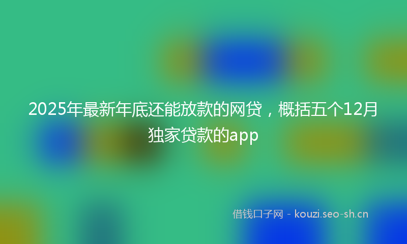 2025年最新年底还能放款的网贷，概括五个12月独家贷款的app