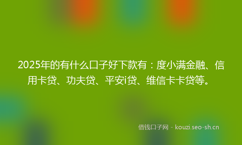 2025年的有什么口子好下款有：度小满金融、信用卡贷、功夫贷、平安i贷、维信卡卡贷等。