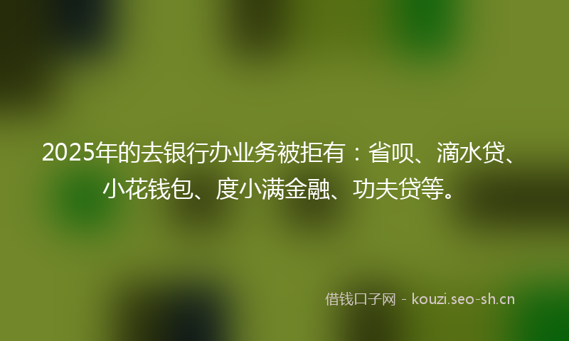 2025年的去银行办业务被拒有：省呗、滴水贷、小花钱包、度小满金融、功夫贷等。