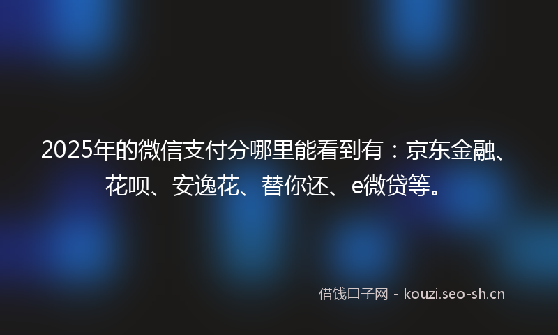 2025年的微信支付分哪里能看到有：京东金融、花呗、安逸花、替你还、e微贷等。