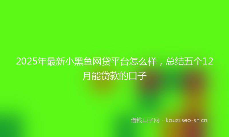 2025年最新小黑鱼网贷平台怎么样，总结五个12月能贷款的口子