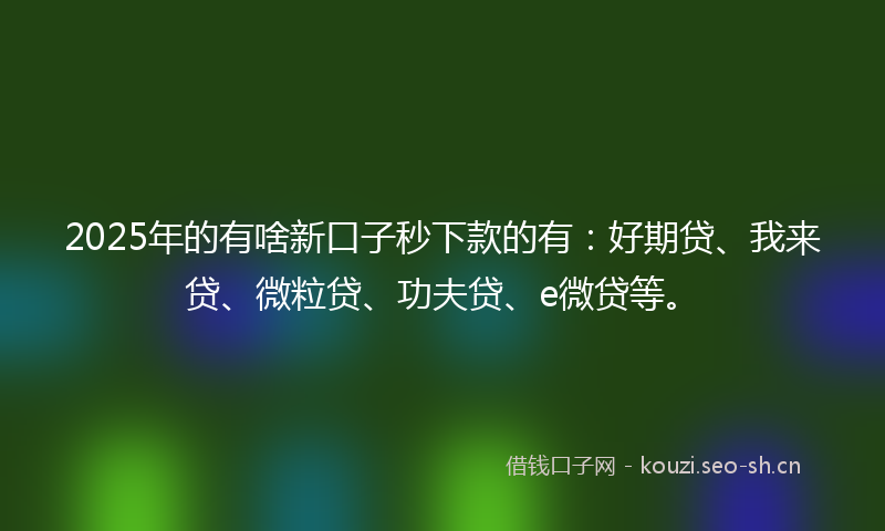 2025年的有啥新口子秒下款的有：好期贷、我来贷、微粒贷、功夫贷、e微贷等。