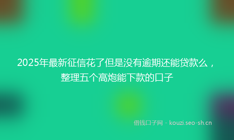 2025年最新征信花了但是没有逾期还能贷款么，整理五个高炮能下款的口子