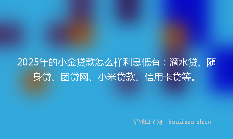 2025年的小金贷款怎么样利息低有：滴水贷、随身贷、团贷网、小米贷款、信用卡贷等。