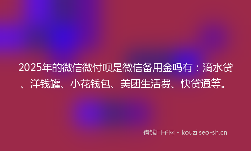 2025年的微信微付呗是微信备用金吗有：滴水贷、洋钱罐、小花钱包、美团生活费、快贷通等。