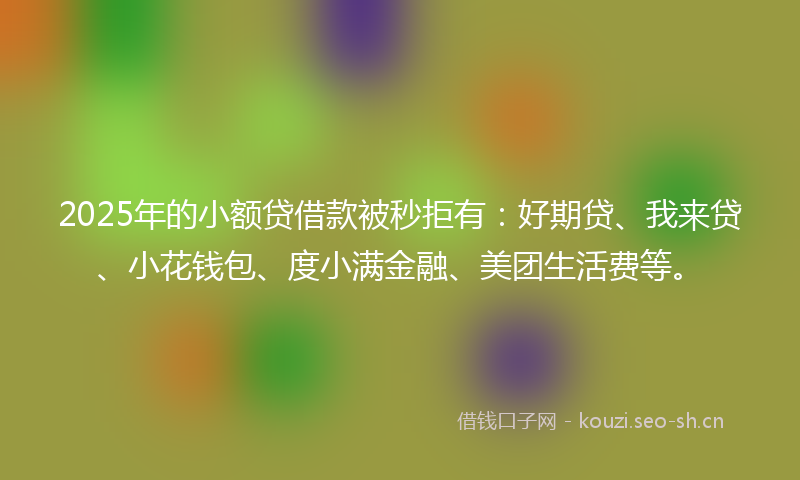 2025年的小额贷借款被秒拒有：好期贷、我来贷、小花钱包、度小满金融、美团生活费等。