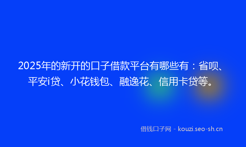 2025年的新开的口子借款平台有哪些有：省呗、平安i贷、小花钱包、融逸花、信用卡贷等。